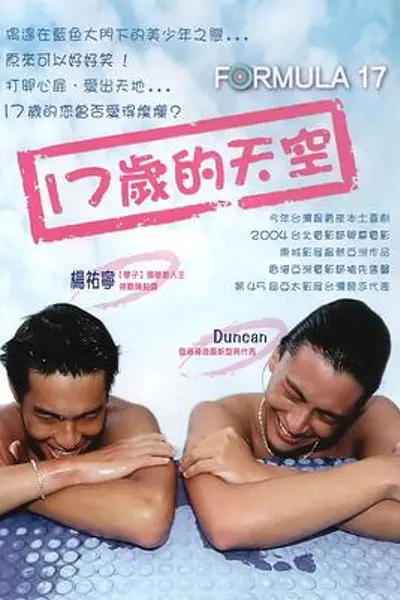 十七岁的天空