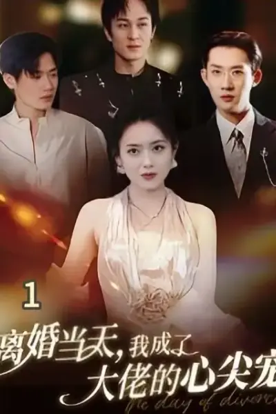 离婚当天我成了大佬的心尖宠