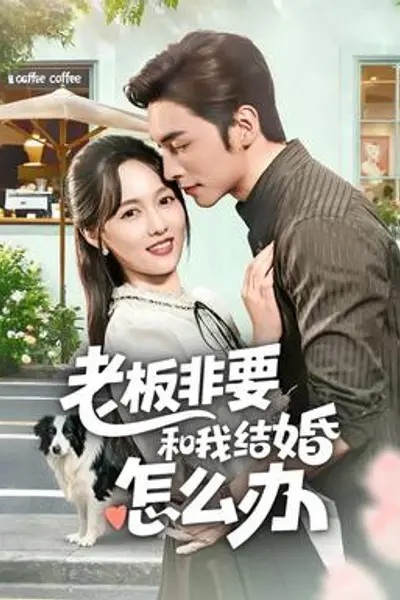 老板非要和我结婚怎么办