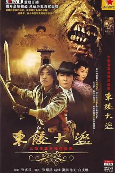东陵大盗2008