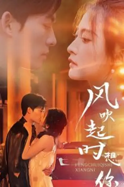 风吹起时想你