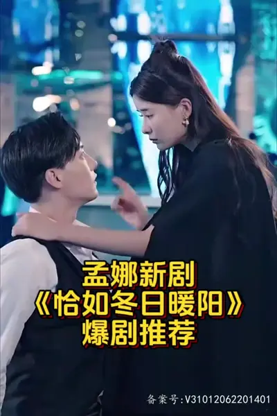恰如冬日暖阳