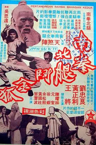 南拳北腿斗金狐