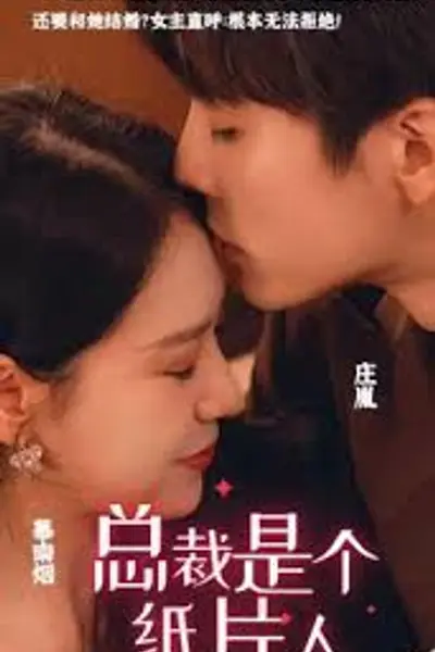 总裁是个纸片人