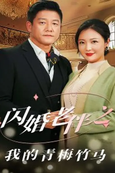 闪婚老伴之我的青梅竹马