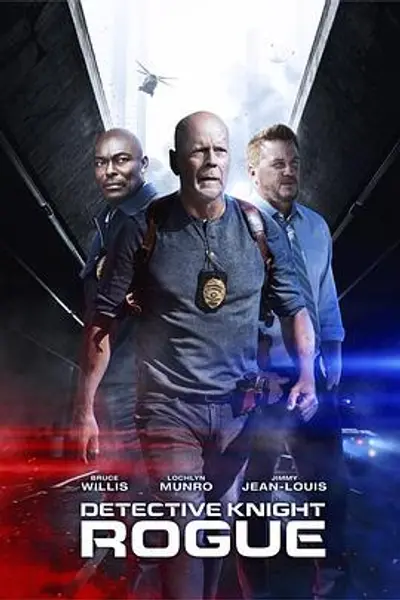 警探奈特：侠盗