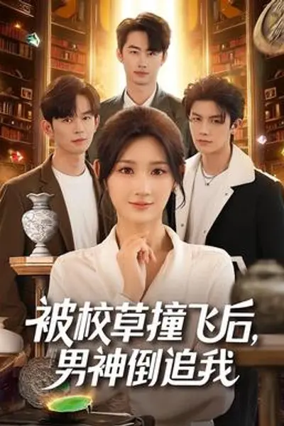 被校草撞飞后男神倒追我
