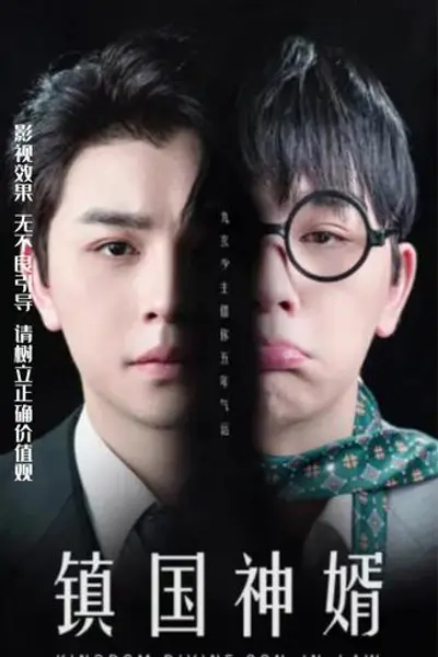 镇国神婿
