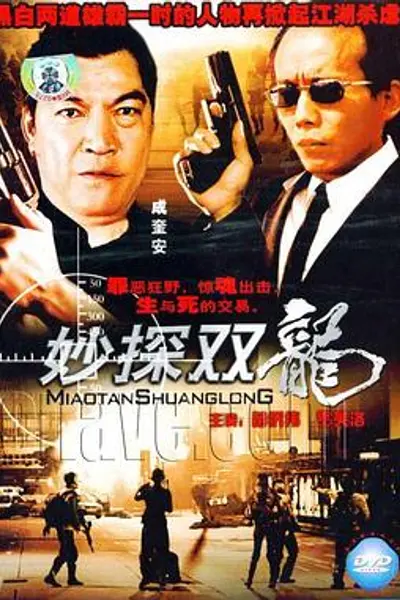 妙探双龙